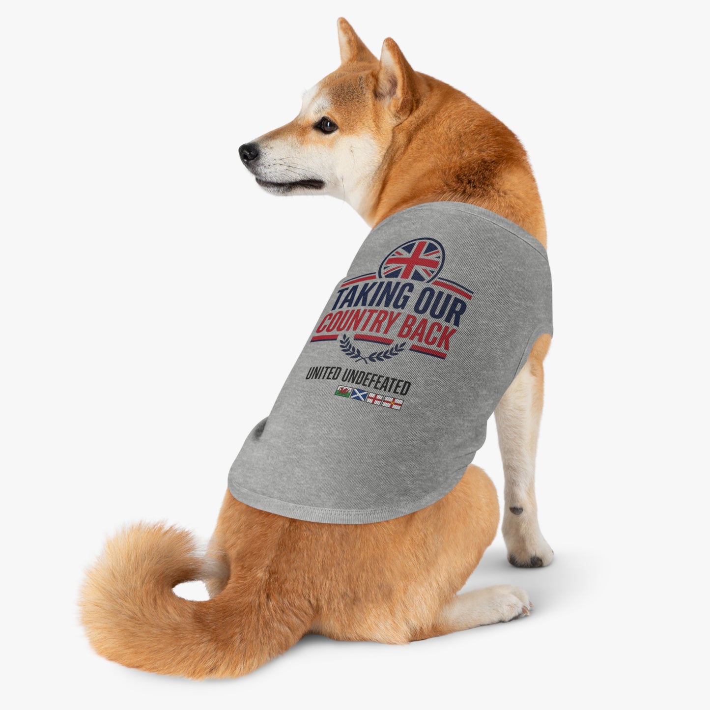 Taking Our Country Back Pet Tank Top | Patriotic Flag Design