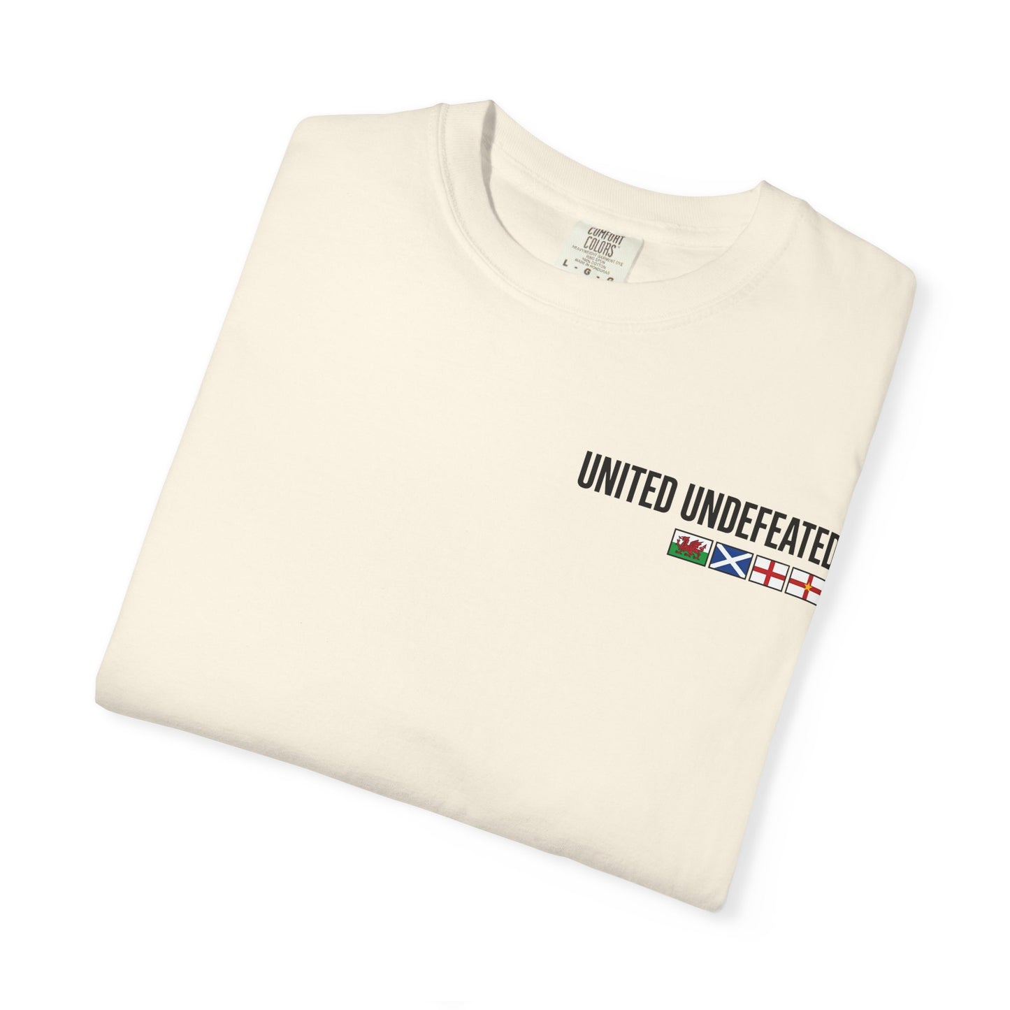 Taking Our Country Back T-shirt | Union Jack Patriotic Graphic Tee