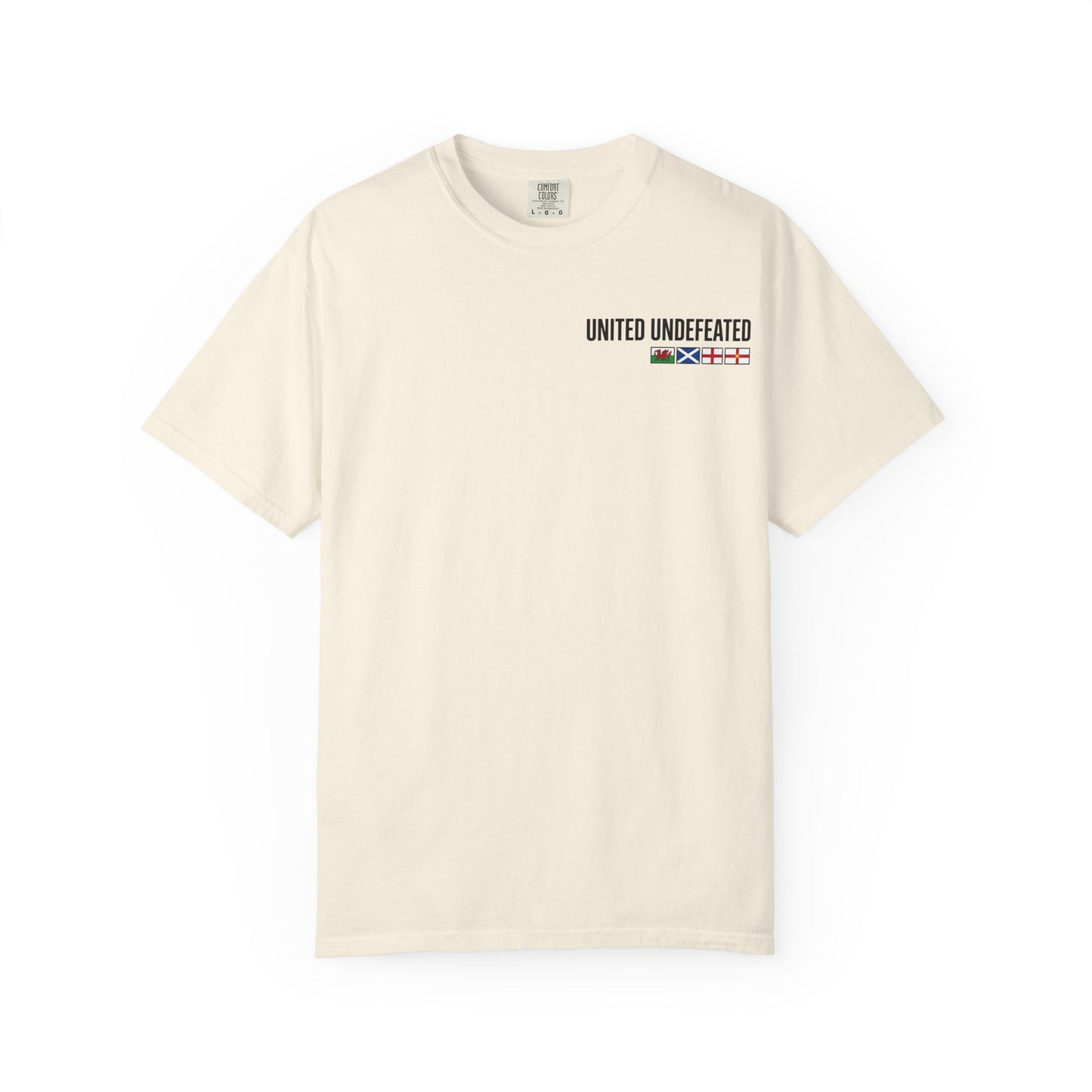 Taking Our Country Back T-shirt | Union Jack Patriotic Graphic Tee