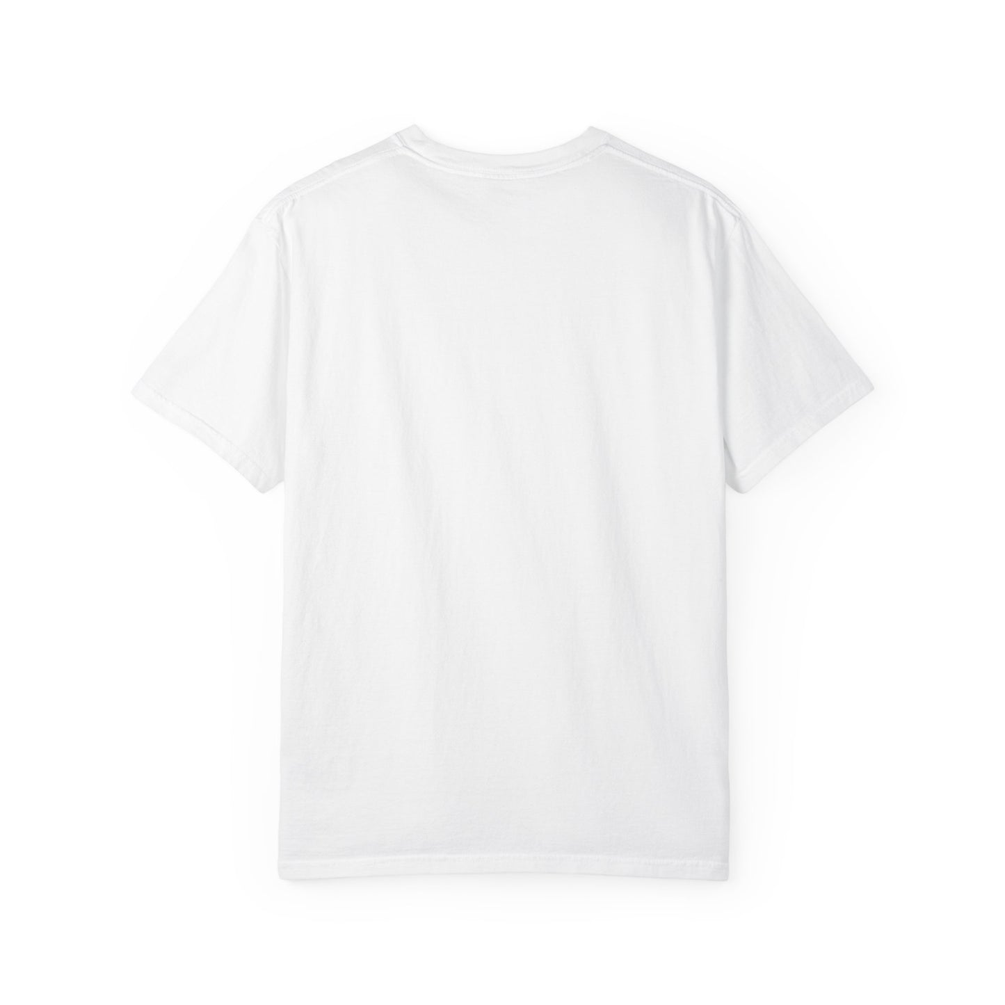Stop the Boats T-Shirt | Boat Graphic, Retro Stripes, Nautical Theme