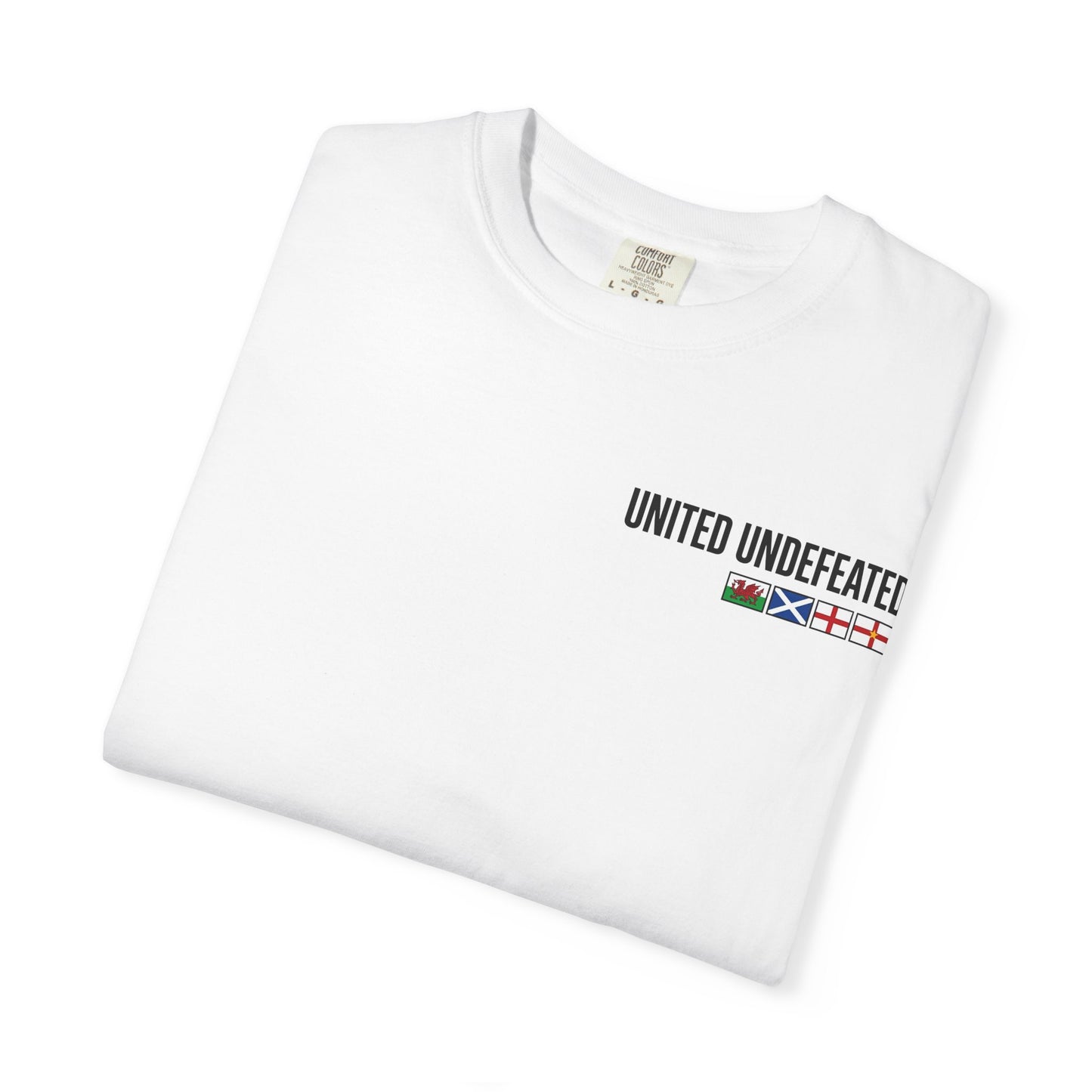 Taking Our Country Back T-shirt | Union Jack Patriotic Graphic Tee